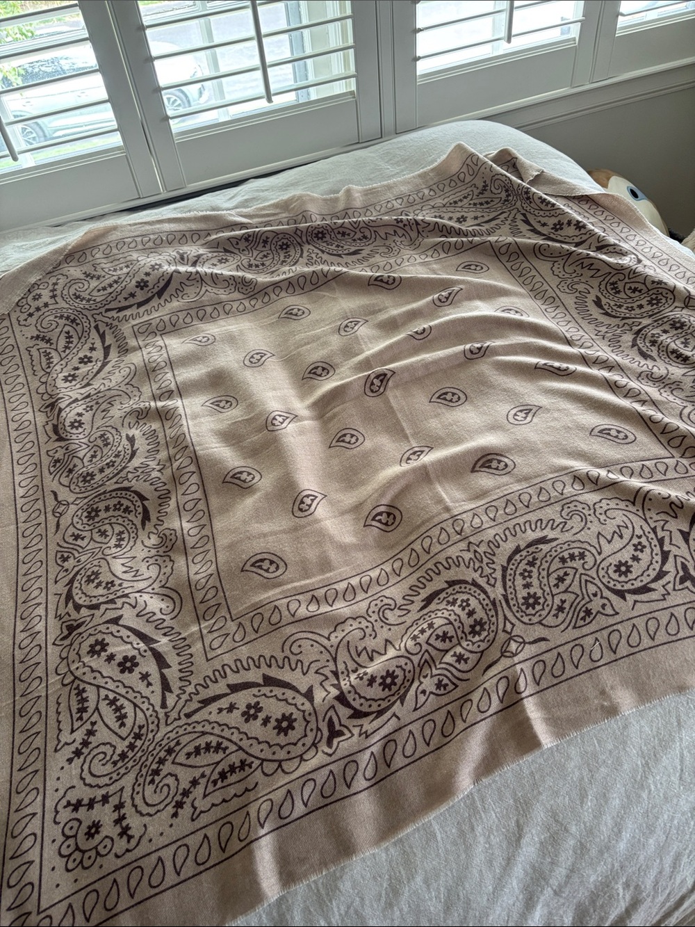 Scarf - Paisley bandanna style